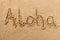 Aloha hawaii summer beach writing message