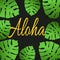 Aloha Tropical vector illustration with palm leaves on black background.