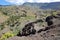 ALOJERA, LA GOMERA, SPAIN: Green and volcanic landscape with terraced fields and palm trees near Alojera