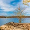 Alone autumn tree on rocky shore of beautiful lake.