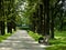 Alone bench in park