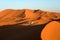 Alone berber in Sahara desert.