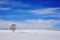 Alone frozen tree on winter field