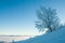 Alone frozen tree on winter field and blue sky with rare clouds