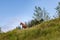 Alone horse grazing on the slopes of Sao Miguel Island, the Azores