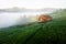 Alone house on foggy meadow