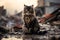 alone and hungry domestic cat after disaster on the background of house rubble, neural network generated image