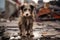 alone and hungry domestic dog after disaster on the background of house rubble, neural network generated image