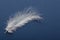 Alone light feather on blue background