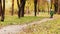 Alone little boy joyful bouncing walking in autumn park