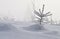 Alone little snowy spruce in winter landscape