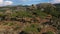 An alone man walking among wild nature of Turkey. Hike to Mountains, pine forest, rocks