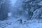 Alone MTB cyclist cycling in beautiful winter snowy Ticknock forest during COVID lockdown, Co. Dublin, Ireland