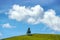 Alone pine tree on the green hill and blue sky with clouds