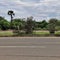 Alone road with flower grass and trees