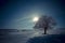 Alone tree and moon in night