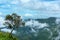 Alone Tree on the mountain field during mist sunrise. Beautiful natural landscape in the summer time. Phu Thap Boek