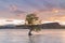 Alone tree in Wanaka water lake with after sunset sky