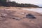 Along the beach there are bigger and smaller stones