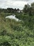 Along The Bridgwater And Taunton Canal, Somerset, England, UK