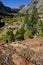 Along the Lundy Canyon Trail, Hoover Wilderness, Sierra Nevada Range, California