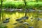 Along the river Barle in Tarr Steps Woodland