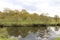 Along The Riverbank, River Derwent, Derbyshire, UK