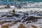 Along the shore line on Narrows Neck Beach,Auckland,New Zealand