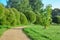 Along the sidewalk path in the park there are lush small trees. Green grass and trees on a bright summer day