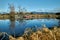 Alouette River Dyke Trail Scenic