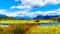 The Alouette River seen from the at the Pitt Polder near Maple Ridge in British Columbia