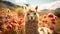 Alpaca camel sunset portrait rural scene grass livestock sand adventure