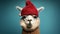 Alpaca in a Christmas hat on a blue background, pet portrait, copy space, cheerful domestic farm animals