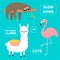 Alpaca, flamingo, sloth set. No drama llama. Slow down. Cute cartoon funny kawaii character. Childish baby collection. T-shirt, gr