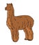 Alpaca illustration vector.Cartoon alpaca vector