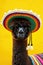Alpaca or lama in national Mexican hat