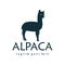 Alpaca logo cartoon icon design vector flat isolated illustration