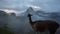 Alpaca at Machu Picchu Inca ruins in Peru