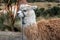 Alpaca at the Pichincha volcano