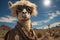 Alpaca wearing aviator hat and sunglasses in the desert. Anthropomorphic animal character