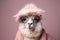Alpaca Wearing Hat and Glasses, Generative AI
