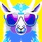 Alpaca wears Sunny Smiles with Shades, a cheerful, sporty pair of sunglasses.