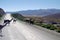 Alpacas crossing Andean road