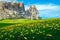 Alpe di Siusi resort with spring yellow dandelions, Dolomites, Italy