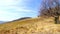 Alpe Vicania montane meadow in spring, Vico Morcote, Switzerland