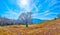 Alpe Vicania montane meadow under a blue sky, Vico Morcote, Switzerland