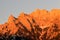 Alpen glow across a mountain range in bavaria