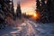 Alpenglow adorns snow drifted forest, sunrise and sunset wallpaper