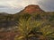 Alpenglow in the Northern Arizona Desert