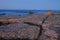 Alpenglow at sunset makes the Pink Granite rocks and crevasses o